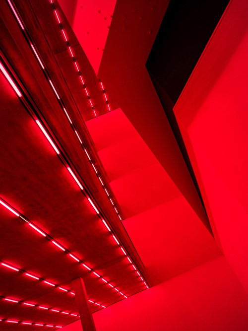 Steve McQueen, Bass, 2024, LED-Licht und Ton, Courtesy the artist, gemeinsame Auftragsarbeit der Laurenz-Stiftung, Schaulager Basel und der Dia Art Foundation, 15. Juni – 16. November 2025, Schaulager® Münchenstein/Basel (Installationsansicht), Foto: Pati Grabowicz, © Steve McQueen