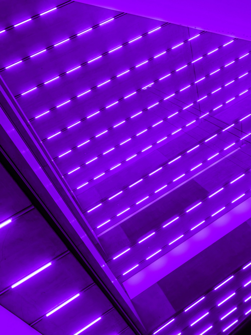 Steve McQueen, Bass, 2024
LED-Licht und Ton, Courtesy the artist, gemeinsame Auftragsarbeit der Laurenz-Stiftung, Schaulager Basel und der Dia Art Foundation, 15. Juni – 16. November 2025, Schaulager® Münchenstein/Basel (Installationsansicht), Foto: Pati Grabowicz, © Steve McQueen